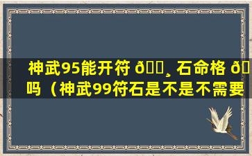 神武95能开符 🕸 石命格 🌴 吗（神武99符石是不是不需要洗脸）